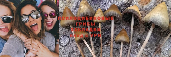 соль ск Володарск
