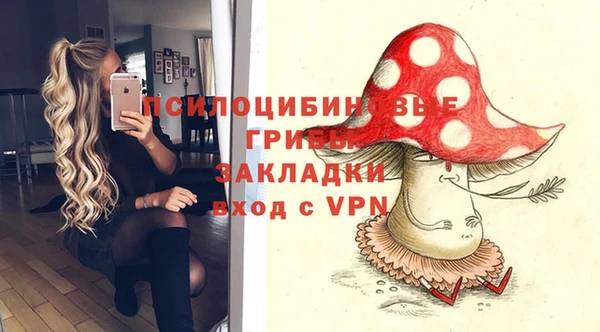 соль ск Володарск
