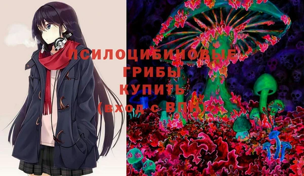 соль ск Володарск
