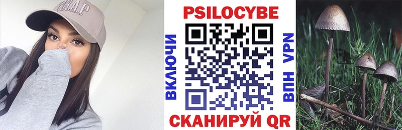 Купить закладки  Полярные Зори  Галлюциногенные грибы Magic Shrooms 