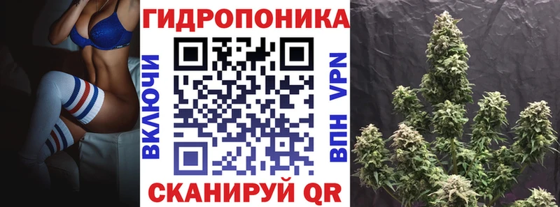 Купить  Полярные Зори  МАРИХУАНА MAZAR 